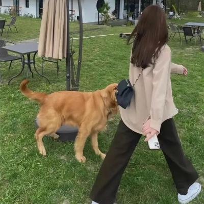 时间之桥